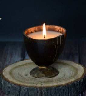 Candles Coconut Shell Candle