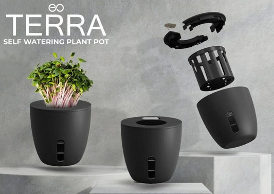 EO Terra - Black